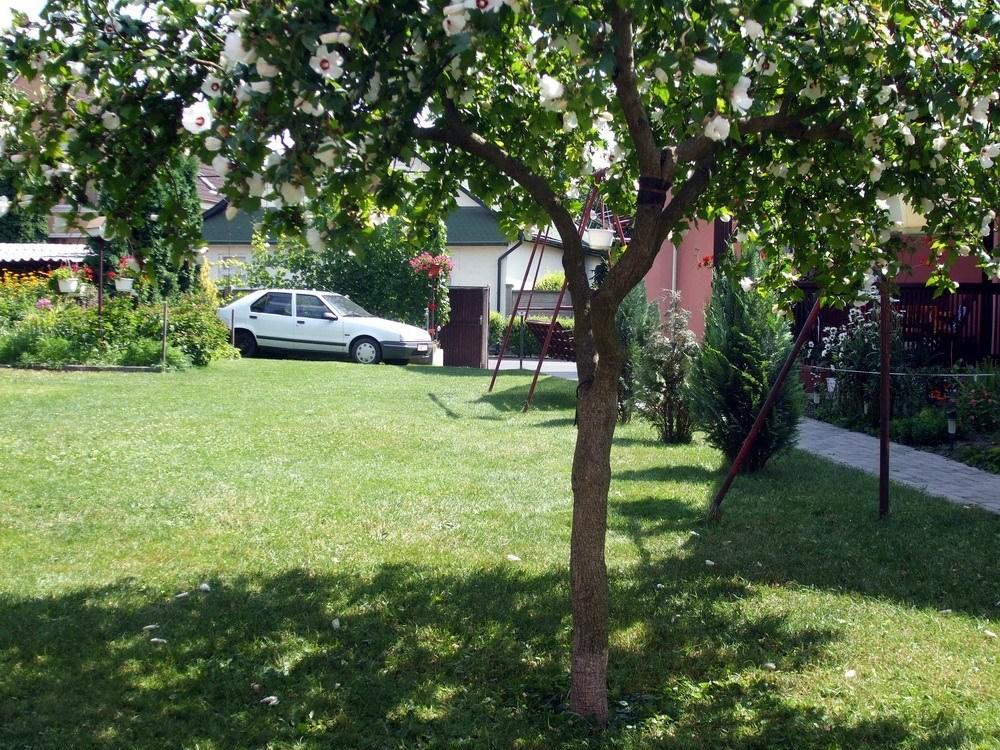 Lugas Szallas Jászberény Exteriör bild